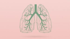 Verästelte Lunge: irreversibler Schaden bei COPD (Foto: med.umich.edu, Manifest)