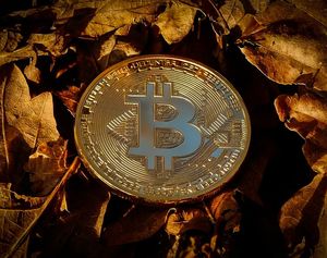 Bitcoin: teuer für die Umwelt (Foto: EivindPedersen, pixabay.com)