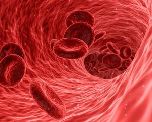 Blutgefäße: Darmflora kann Probleme machen (Foto: pixabay.com, qimono)