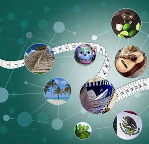 Lernen funktioniert wie Orientierung im physikalischen Raum (Grafik: cbs.mpg.de)