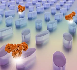 So sieht der Künstler die Identifizierung von Biomolekülen (Grafik: epfl.ch)