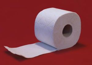 Klopapier: Toiletten machen weniger Geräusche (Foto: pixelio.de/Jens Goetzke)