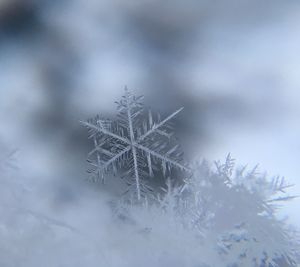 Eiskristall: Schneeflocken liefern Energie (Foto: unsplash.com, Damian McCoig)