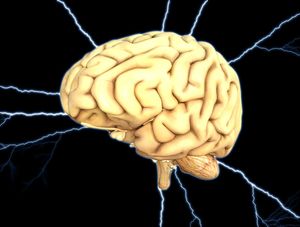 Gehirn: weiterer Risikotyp für Alzheimer (Foto: pixabay.com, TheDigitalArtist)
