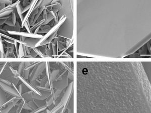 Beschichtete und unbeschichtete Vanadiumdisulfid-Teilchen (Foto: news.rpi.edu)