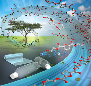 Echt bio: Blätter werden zu Flaschen (Grafik: Hokkaido University)