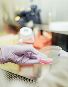 Im Labor: Farbstoff Curcumin gegen Magenkrebs (Foto: Drew Hays, unsplash.com)