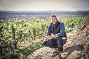 Ing. Christoph Nastl, MA, Weingut Bründlmayer (Foto: Bründlmayer)