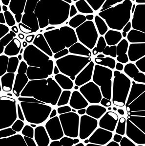 Gewebe: Kollagen für Elastizität verantwortlich (Foto: pixabay.com, geralt)