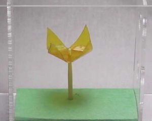 Blume aus einem neuartigen Soft-Aktuatoren-Material (Foto: columbia.edu)