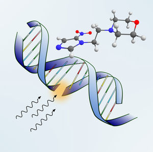 Durch Strahlung werden Strangbrüche erzeugt (Foto: Rebecca Meissner, uibk.ac.at)