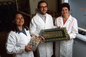 P. Dongare (l.), Alessandro Alabastri und Oara Neumann (r.) (Foto: rice.edu) P. Dongare (l.), Alessandro Alabastri und Oara Neumann (r.) (Foto: rice.edu)