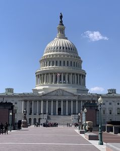 Kapitol: US-Senat will Wert von Daten wissen (Foto: pixabay.com, drjuneknight)