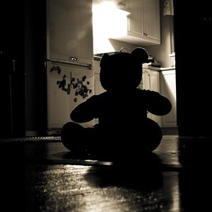 Teddy: Kindesmissbrauch durch Männer häufiger (Foto: pixabay.com, thisguyhere)