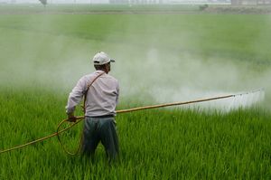 Pestizide: beeinflussen Jugendliche nachhaltig (Foto: pixabay.com/wuzefe)