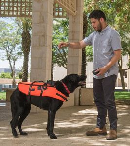 Hund mit Weste: Befehle per Vibration (Foto: Jonathan Atari)