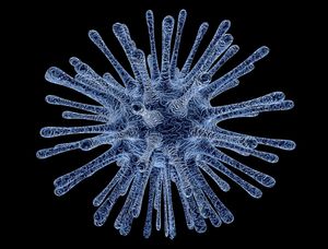 Virus: Uralte Verbindung mit Mensch (Foto: pixabay.com, PublicDomainPictures)