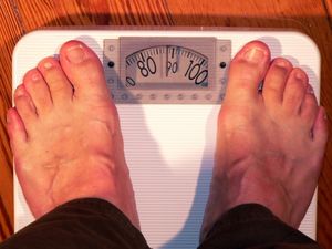 Übergewicht: Geschmack von Essen hält länger (Foto: pixabay.com, geralt) Übergewicht: Geschmack von Essen hält länger (Foto: pixabay.com, geralt)