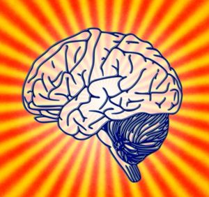 Gehirn: Dehnt sich bis zum 60. Lebensjahr bei Bedarf (Foto: pixabay.com, geralt)