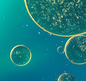 Zellen: Forscher stärken T-Zellen (Foto: pixabay.com, A_Different_Perspective)