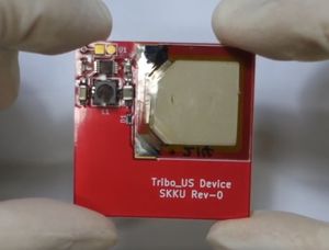 Triboelektrisches Device: bereits in Schweinegewebe implantiert (Foto: skku.edu) Triboelektrisches Device: bereits in Schweinegewebe implantiert (Foto: skku.edu)