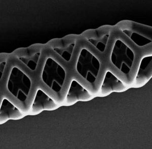Dieser Mikrostent ist gerade einmal 0,05 Millimeter groß (Foto: ethz.ch)