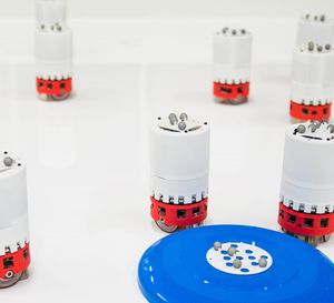 Von der Natur inspirierte Schwarmroboter bei der Arbeit (Foto: bristol.ac.uk)