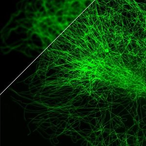 Vergleich: Auflösung links wie bisher und rechts ideal (Foto: epfl.ch)