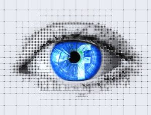 Facebook: keine Überwachung durch Fake-Profile (Foto: pixabay.com, geralt)