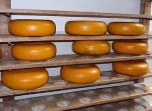 Käse in der Reifekammer: Sie sind gut fürs Herz (Foto: Dieter Schütz/pixelio.de)