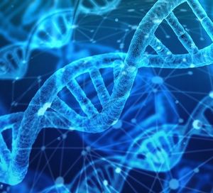 DNA: Zusammenhalt doch komplett anders (Foto: pixabay.com, geralt)