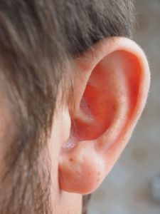 Ohr: Tinnitus kann lästig, sogar schmerzhaft sein (Foto: Hans, pixabay.com)