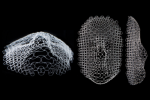 Aus dem Maschennetz wird menschliches Gesicht (Foto: Lori K. Sanders, mit.edu)
