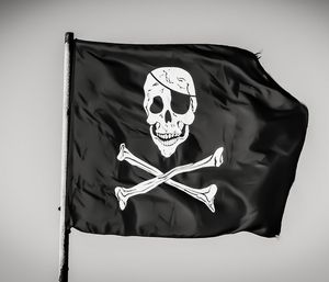 Piraterie: Online-Service stillgelegt (Foto: pixabay.com, dimitrisvetsikas1969)