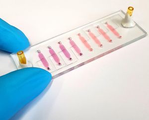 Neuer Bio-Chip der TU Wien für individualisierte Medizin (Foto: tuwien.at)