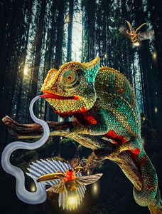 Chamäleon fängt ein Insekt (Grafik: Ramses V. Martinez, purdue.edu)