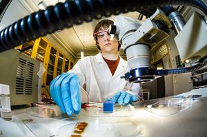 Labortest mit elektrisch aufblähbarem Kunststoff (Foto: Thor Balkhed, liu.se)