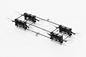Achtflügler: schwebt mit weichem Antrieb (Foto: Harvard Microrobotics Lab)
