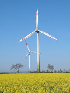 Windräder: Ausschreibungen kontraproduktiv für Branche (Foto: igwindkraft.at)