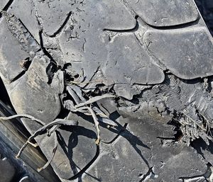 Total abgefahren: Abrieb verunreinigt die Natur (Foto: pixabay.com, pixel2013)