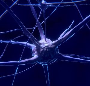 Neuronen: Protein bei Verbindung entscheidend (Grafik: ColiN00B, pixabay.com)