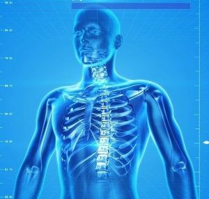 Körper: Proteinkinase CK2 bildet Skelett (Bild: pixabay.de/PublicDomainPictures) Körper: Proteinkinase CK2 bildet Skelett (Bild: pixabay.de/PublicDomainPictures)