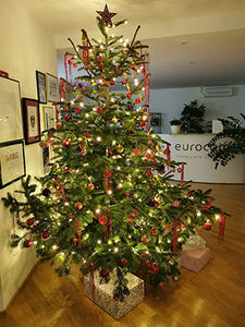 Frohe Weihnachten wünscht die Kaleidoscope Gruppe (Foto: eurocom)