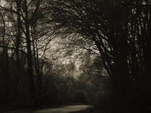 Düster: Männer und Frauen reagieren anders (Foto: pixelio.de, Harry Hautumm)