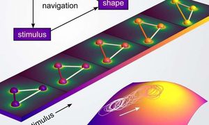 So sollen sich autonome Mikroroboter bewegen (Grafik: columbia.edu, Yong Dou)