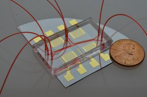 Raschere Tests mit Acoustofluidics (Foto: The Journal of Molecular Diagnostics)
