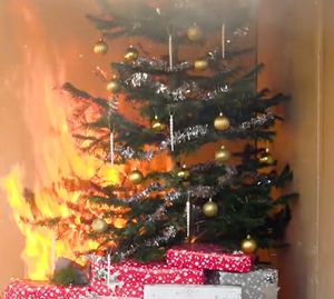 Weihnachtsbaum: Billige Lichter gefährlich (Foto: youtube.com, Which?)