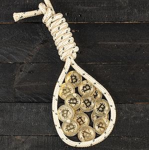 Kryptowährung-Strick: großes Artensterben (Foto: pixabay.com, bitcoin-schweiz)