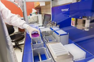 Gentests: Forscher klären genetische Angstursachen (Foto: Robert Lisak) Gentests: Forscher klären genetische Angstursachen (Foto: Robert Lisak)