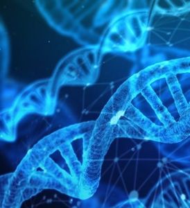DNA: Forscher klären Bildung einer Fibrose (Foto: pixabay.com, geralt)
